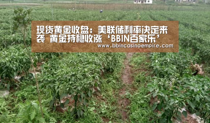 现货黄金收盘:美联储利率决定来袭 黄金持稳收涨‘BBIN百家乐’(图3) BBIN地址