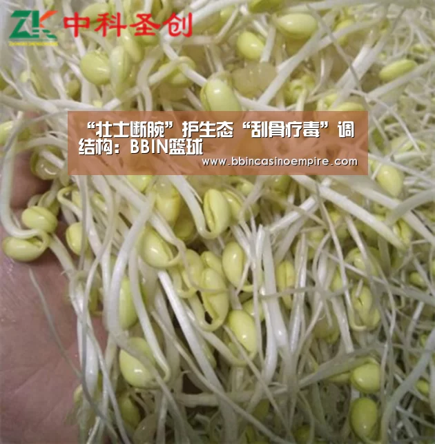 “壮士断腕”护生态“刮骨疗毒”调结构:BBIN篮球(图2) BBIN地址